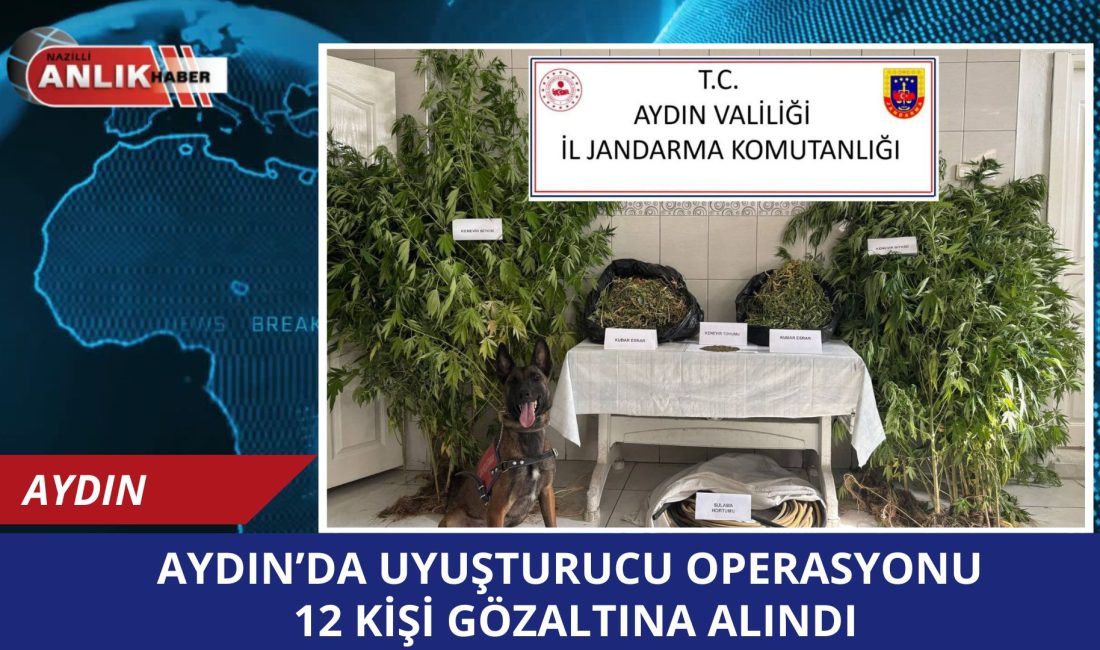 Aydın İl Jandarma Komutanlığı Narkotik Şube Müdürlüğü tarafından il genelinde