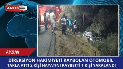 Aydın’ın Çine ilçesinde meydana gelen trafik kazasında, yol kenarındaki zeytin