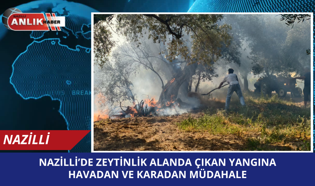 Nazilli Yeşil Mahalle Topandağ mevkisindeki zeytinlik alanda çıkan yangında rüzgarın