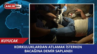 Aydın’ın Kuyucak ilçesine bağlı Pamukören Mahallesi’nde meydana gelen talihsiz olayda
