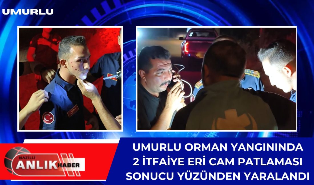 Aydın’ın Efeler ilçesine bağlı Umurlu Mahallesi’nde devam eden orman yangınında,
