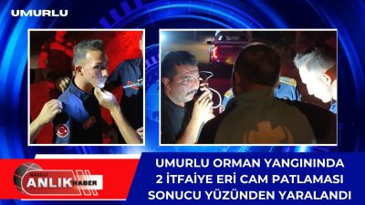 Aydın’ın Efeler ilçesine bağlı Umurlu Mahallesi’nde devam eden orman yangınında,