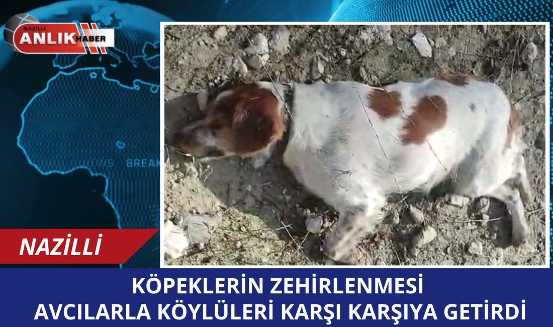 Nazilli’de Zehirli Yem İddiası: Av Köpeklerinin Ölümü Köylüler ile avcıları Karşı Karşıya Getirdi Aydın’ın Nazilli ilçesine bağlı Yamalak Mahallesi’nde ava giden bir grup