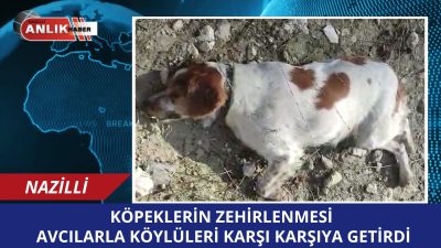 Aydın’ın Nazilli ilçesine bağlı Yamalak Mahallesi’nde ava giden bir grup