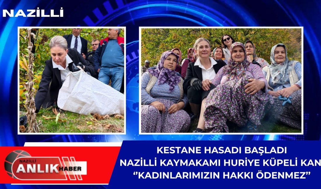 Nazilli’de Kestane Hasadı Coşkusu: “Kadınlarımızın Hakkı Ödenmez” NAZİLLİ – Aydın’ın Nazilli ilçesinde bu yılki kestane hasadı, Kaşıkçılar