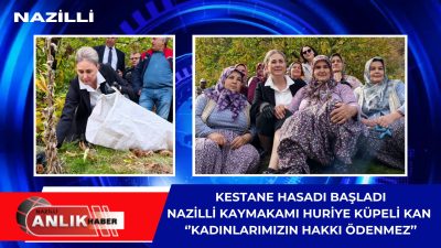 NAZİLLİ – Aydın’ın Nazilli ilçesinde bu yılki kestane hasadı, Kaşıkçılar