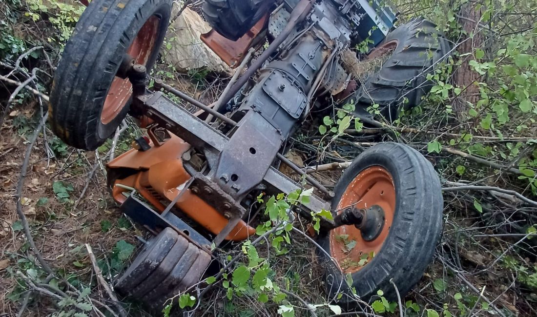 Aydın’ın Bozdoğan ilçesine bağlı Çamlıdere