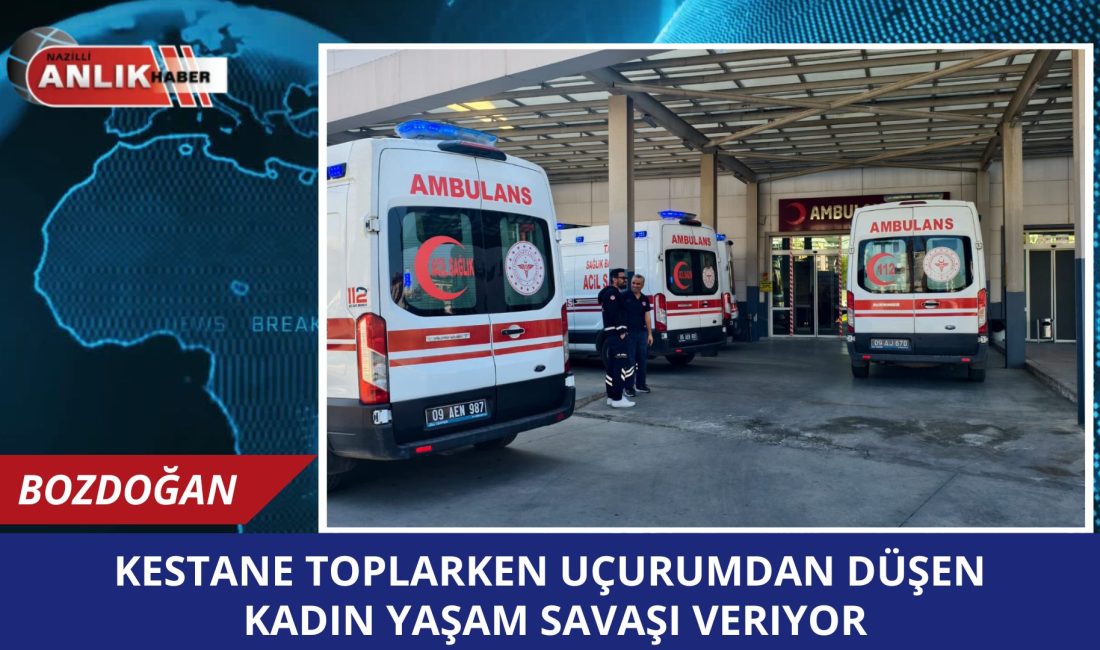 AYDIN / BOZDOĞAN – Aydın’ın Bozdoğan ilçesinde, kestane toplarken dengesini