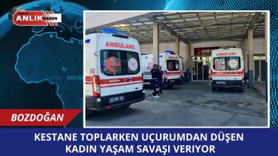 AYDIN / BOZDOĞAN – Aydın’ın Bozdoğan ilçesinde, kestane toplarken dengesini