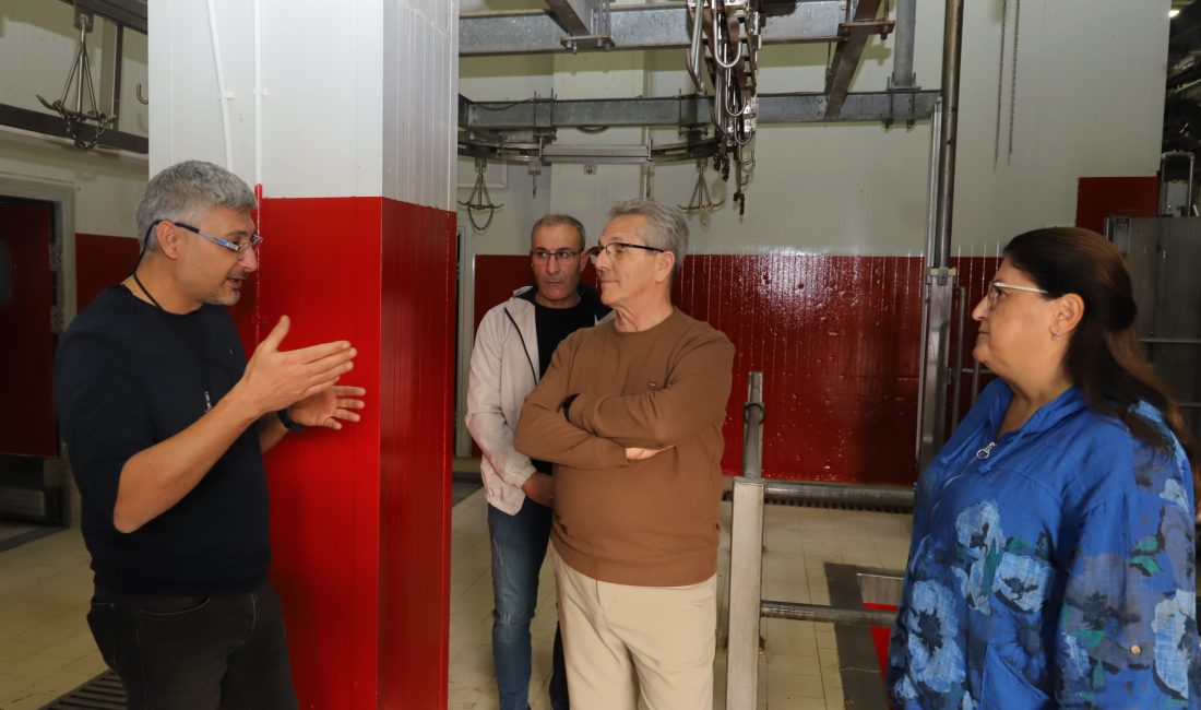 Nazilli Belediyesi Mezbaha Tesisleri, günümüz