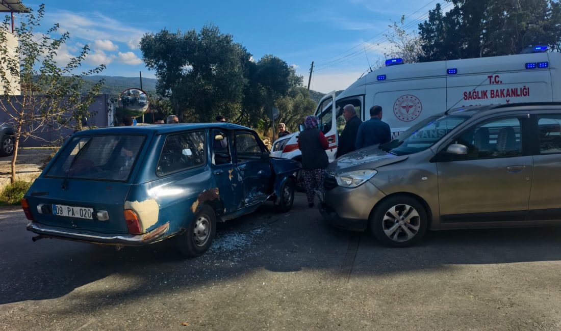 NAZİLLİ – Nazilli’nin Hamidiye Mahallesi’nde