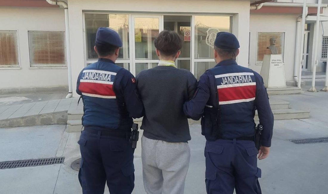 AYDIN / SÖKE – Aydın