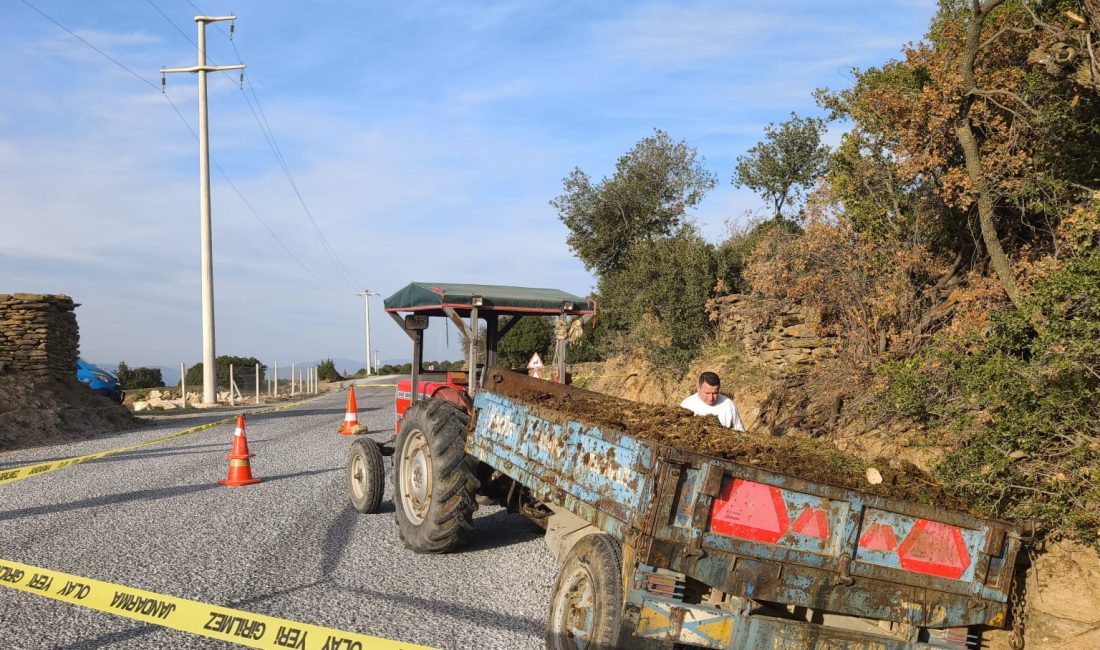 AYDIN / YENİPAZAR – Aydın’ın