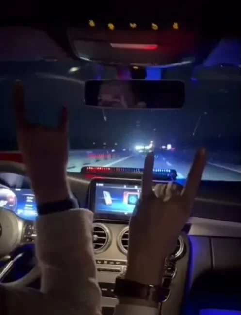 AYDIN – Milliyetçi Hareket Partisi