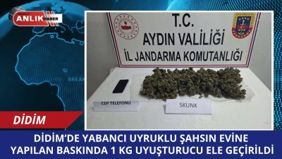Aydın İl Jandarma Komutanlığı ekipleri, Didim’in Efeler Mahallesi’nde yabancı uyruklu