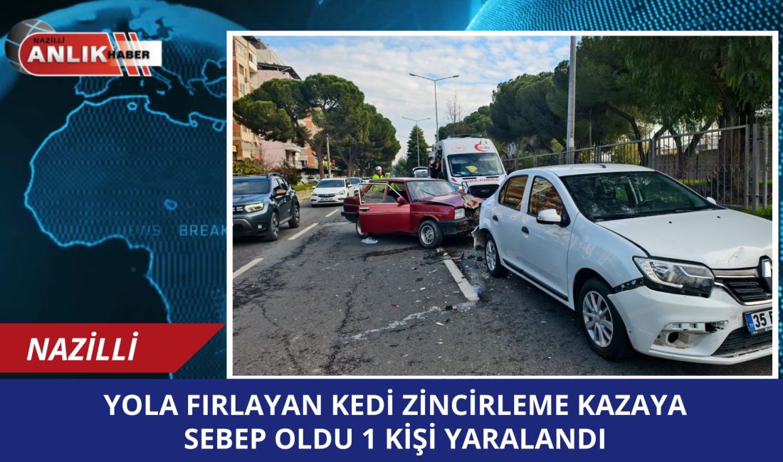 Aydın’ın Nazilli ilçesinde, yola fırlayan kediden kaçmak isteyen sürücünün aniden