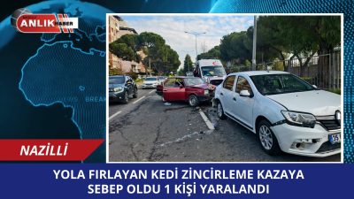 Aydın’ın Nazilli ilçesinde, yola fırlayan kediden kaçmak isteyen sürücünün aniden
