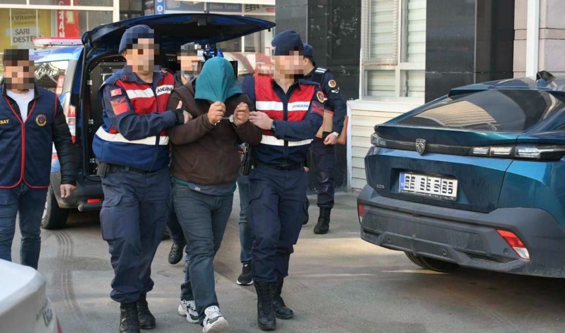 Aydın İl Jandarma Komutanlığı koordinesinde