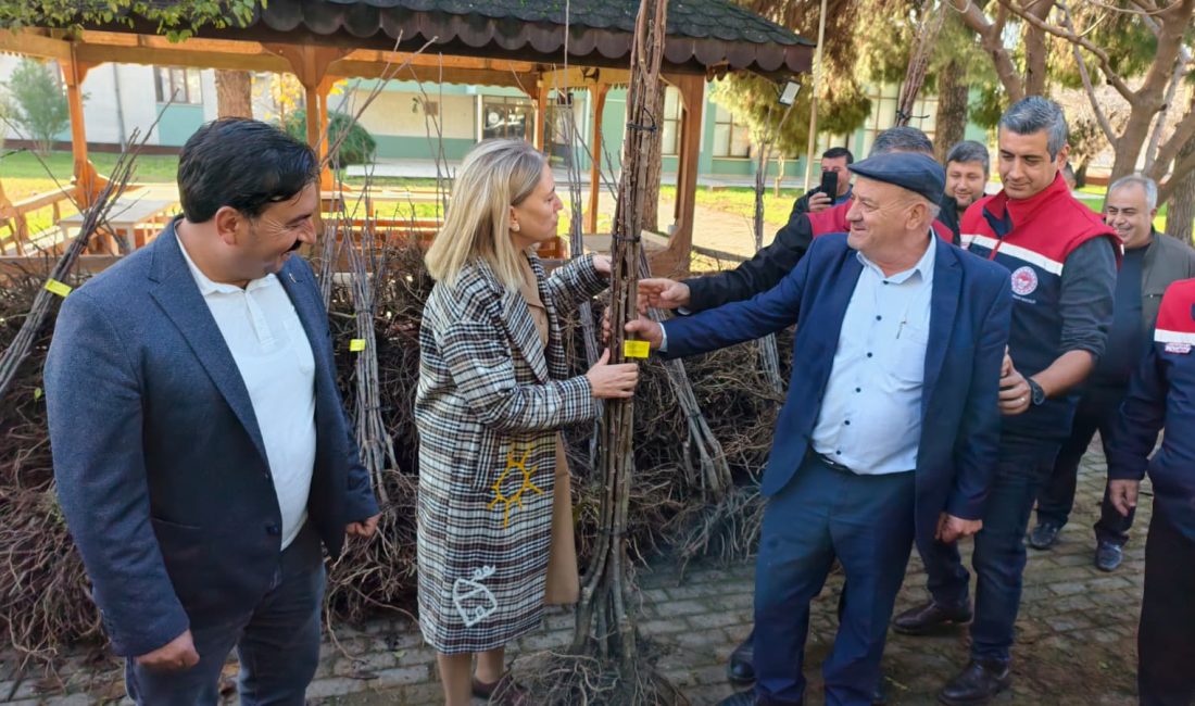 Aydın’ın Nazilli ilçesinde, Nazilli Kaymakamlığı