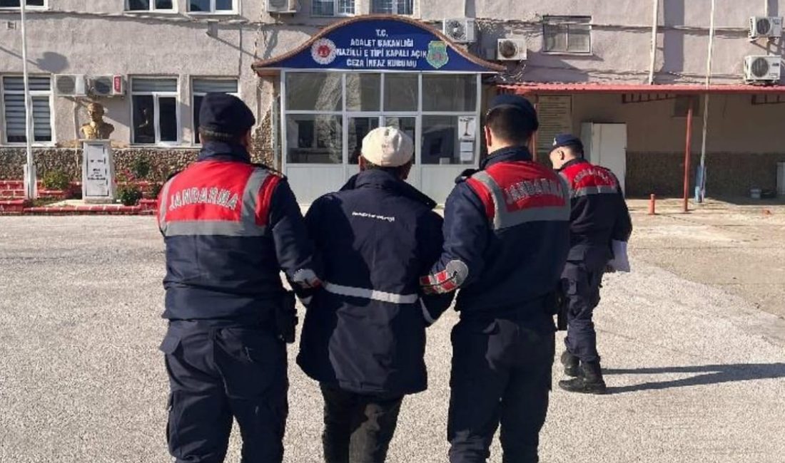 Aydın İl Jandarma Komutanlığı ekipleri,