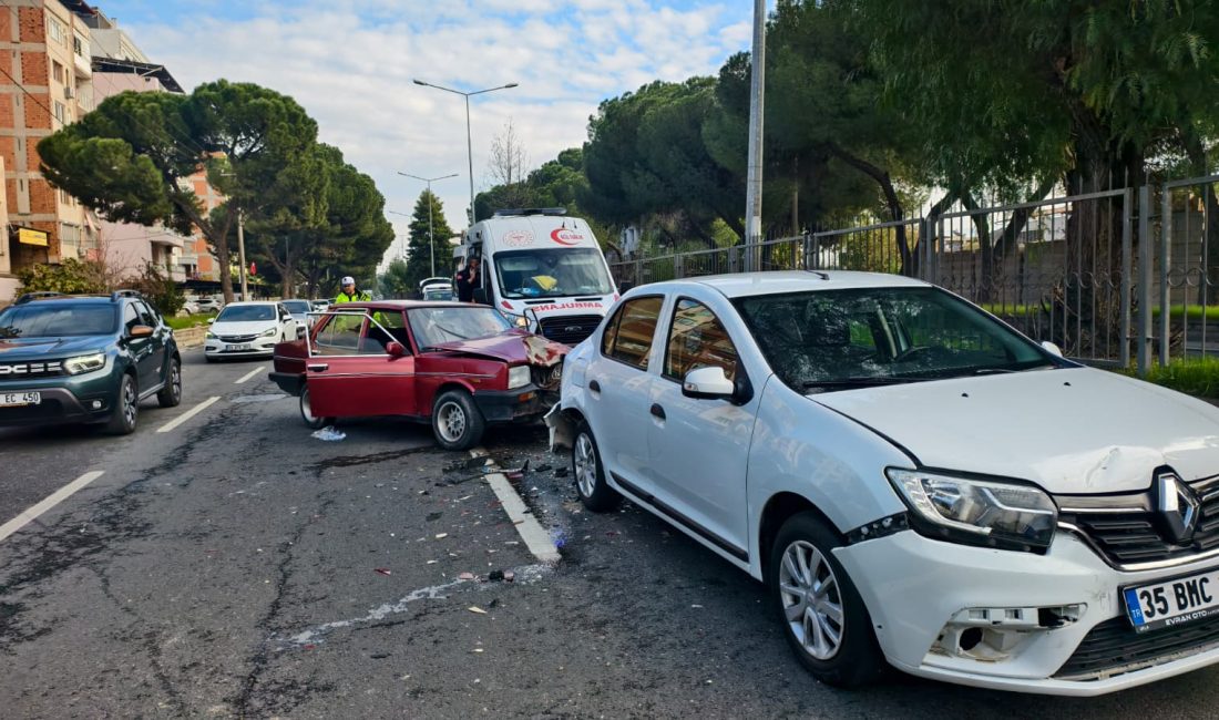 Aydın’ın Nazilli ilçesinde, yola fırlayan