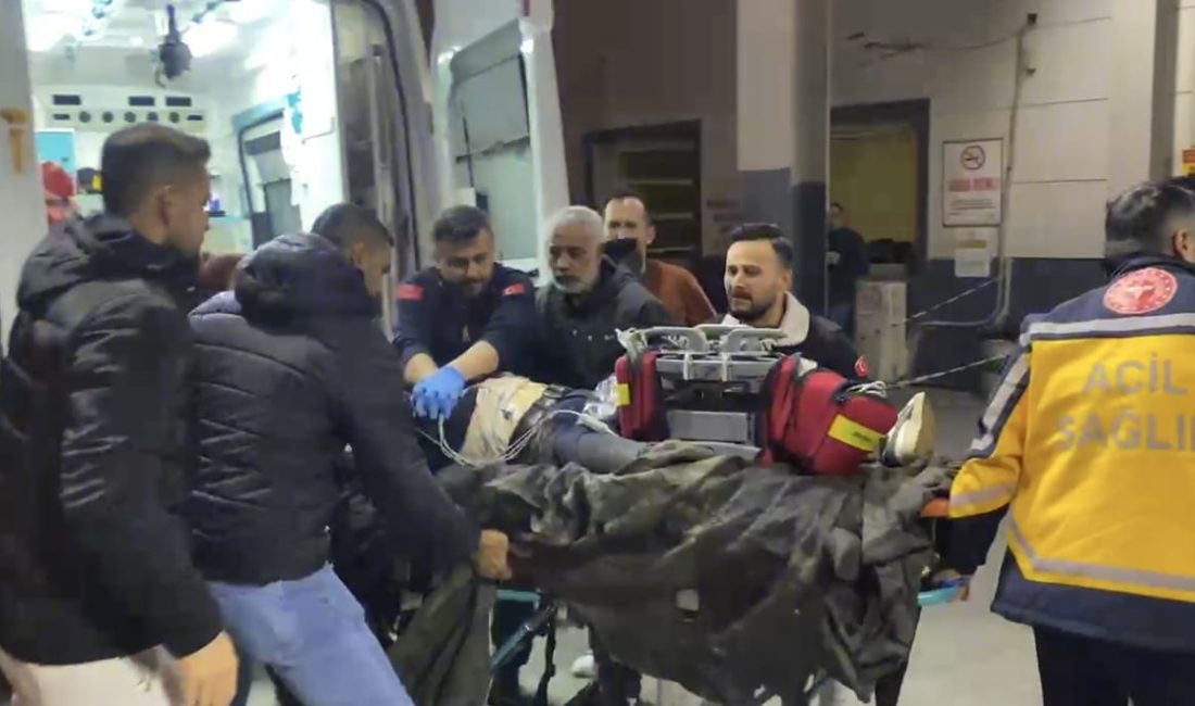 Aydın’ın Nazilli ilçesinde bir bahçe