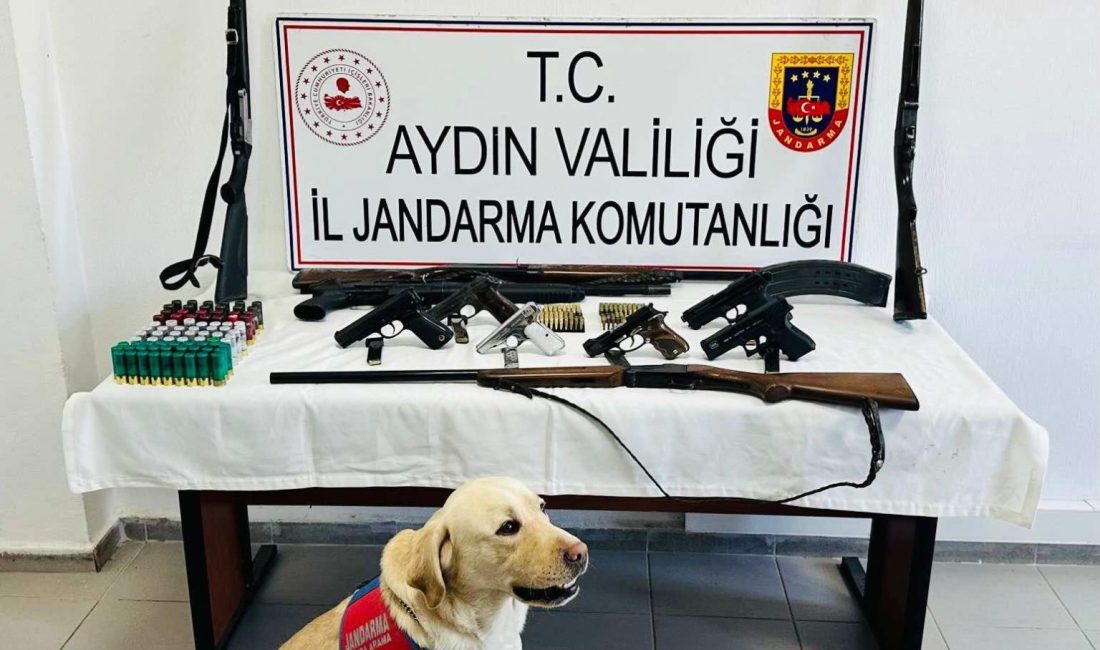 Aydın’ın Köşk ilçesinde jandarma ekiplerince