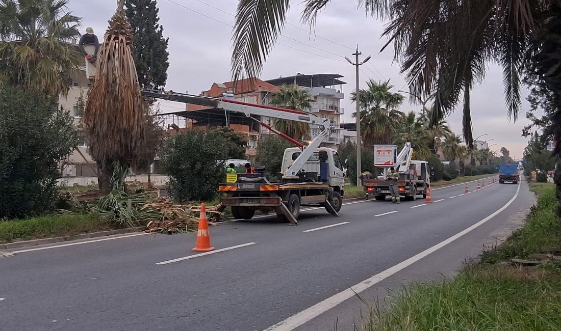 AYDIN / EFELER – Efeler