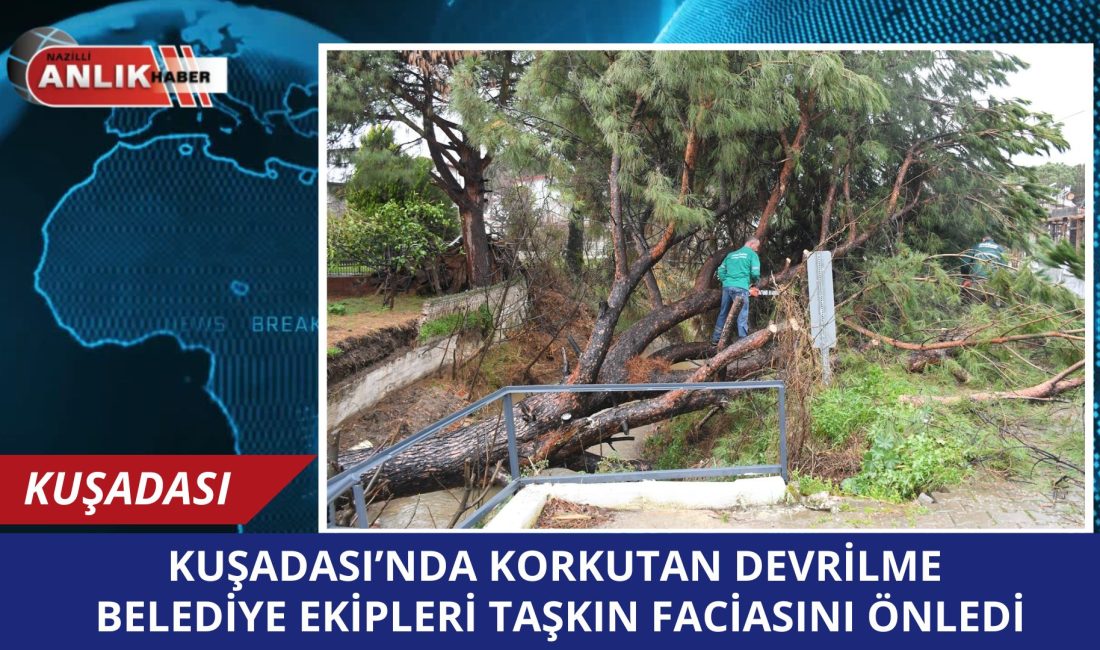 KUŞADASI – Şiddetli yağışların vurduğu Kuşadası’nda, dere yatağına devrilen dev