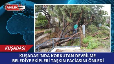 KUŞADASI – Şiddetli yağışların vurduğu Kuşadası’nda, dere yatağına devrilen dev