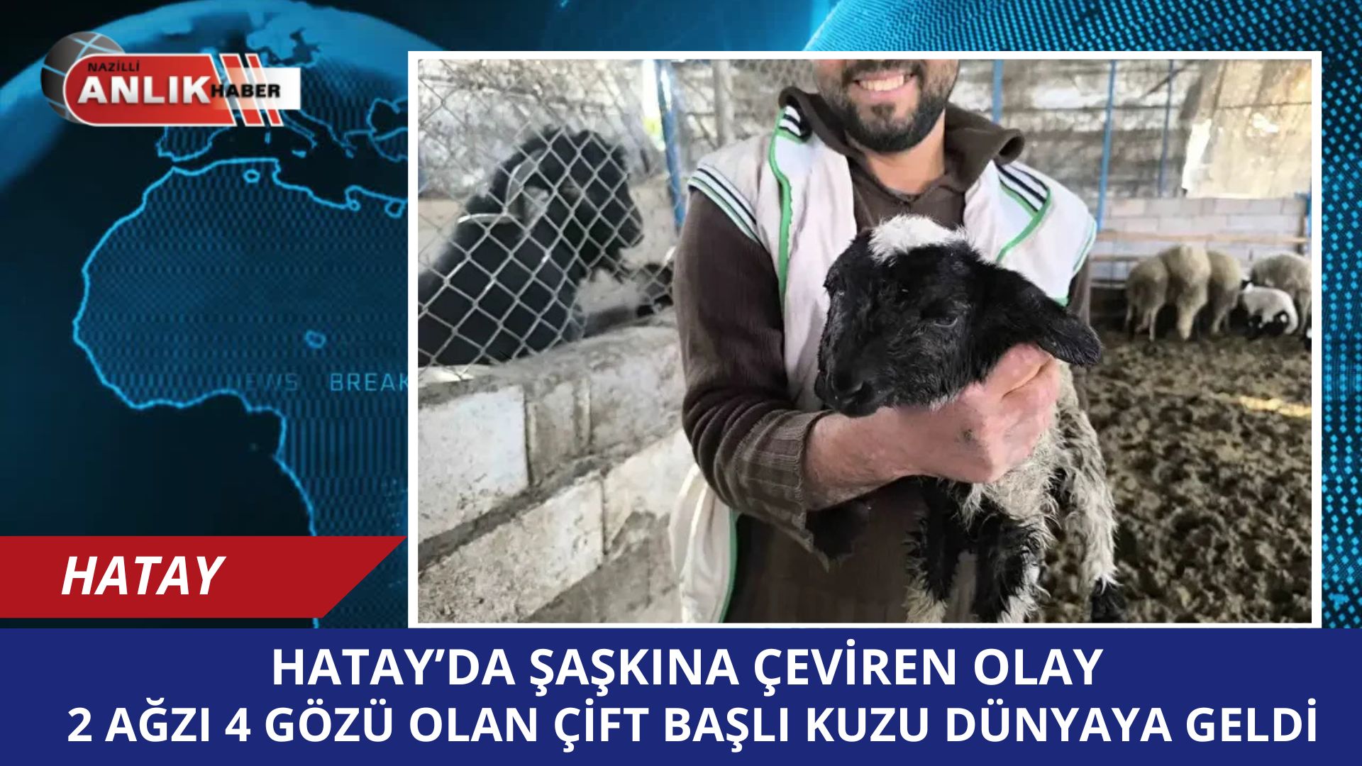 HATAY / DÖRTYOL – Hatay’ın Dörtyol ilçesinde hayvancılıkla uğraşan bir