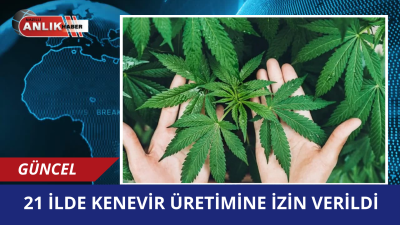 Tarım ve Orman Bakanlığı’nın hazırladığı yeni yönetmelikle kenevir üretimi yeniden