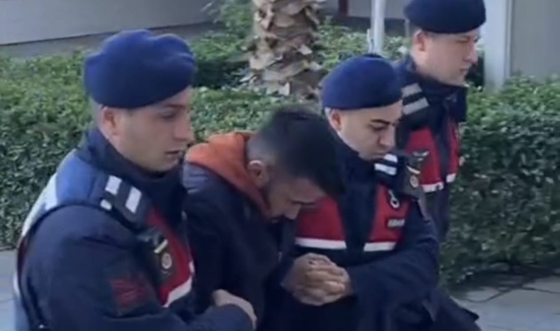 Aydın’ın Nazilli ilçesinde bir bahçe