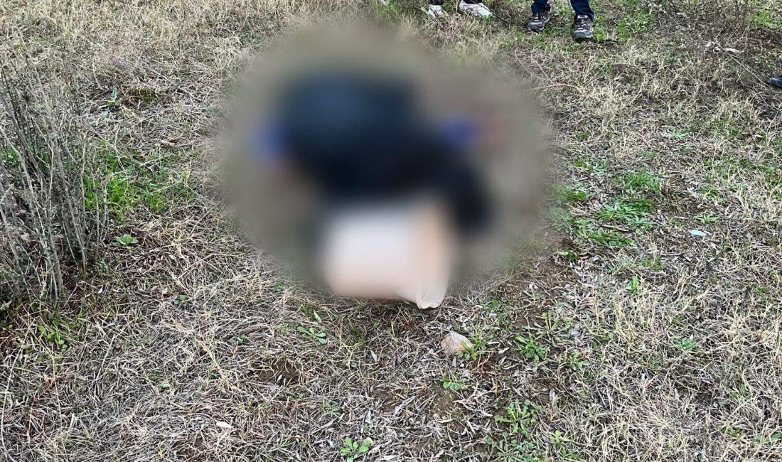 AYDIN / KÖŞK – Aydın’ın