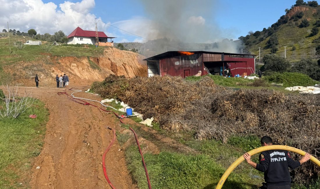 NAZİLLİ – Aydın’ın Nazilli ilçesinde,