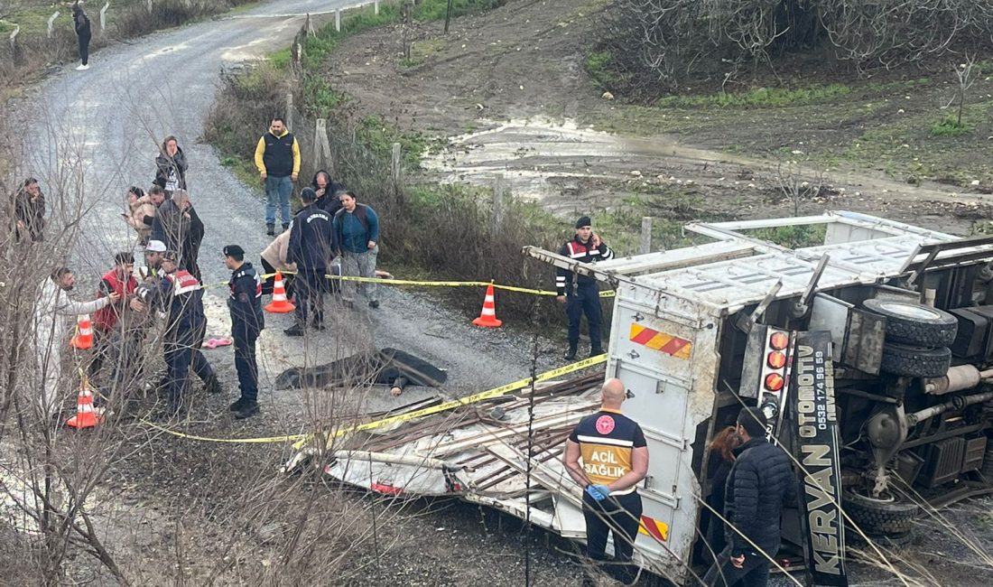 KUŞADASI – Kuşadası-Yeniköy yolunda sabah