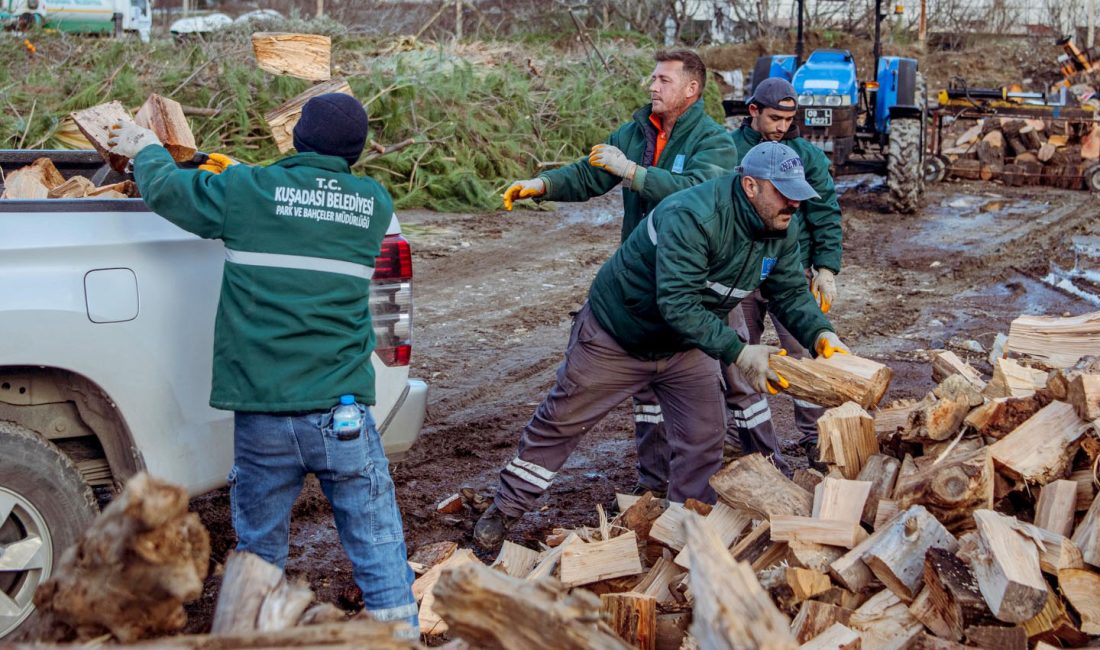 KUŞADASI – Kuşadası Belediyesi, kış
