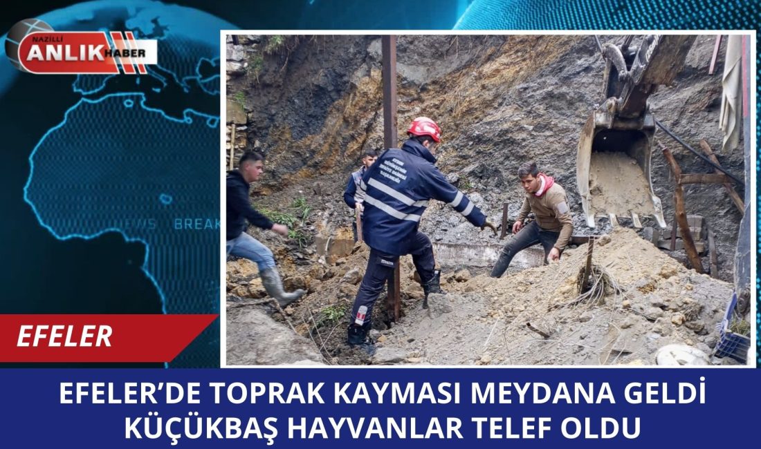 EFELER – Aydın’da iki gündür aralıksız devam eden şiddetli sağanak