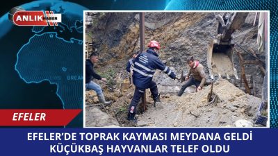 EFELER – Aydın’da iki gündür aralıksız devam eden şiddetli sağanak