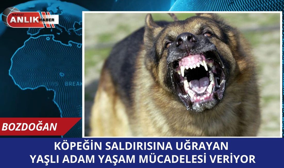 Aydın’ın Bozdoğan ilçesinde bir köpeğin saldırısına uğrayan 80 yaşındaki yaşlı