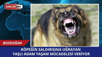 Aydın’ın Bozdoğan ilçesinde bir köpeğin saldırısına uğrayan 80 yaşındaki yaşlı