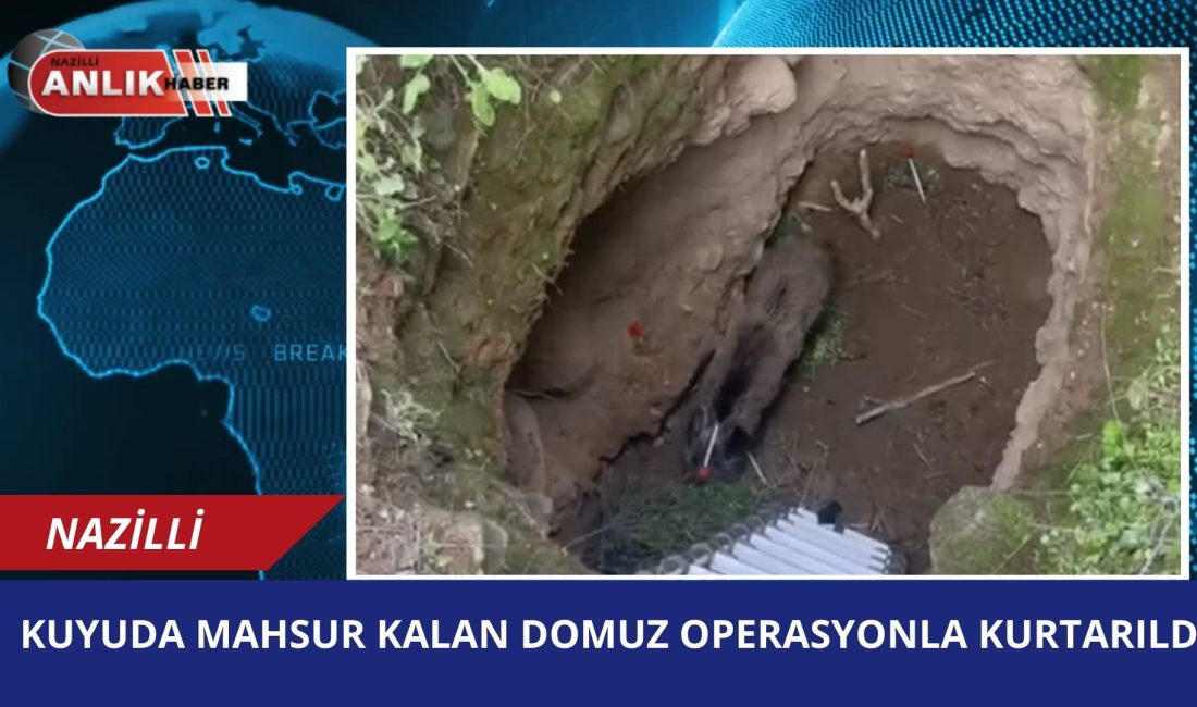 Nazilli’ye bağlı Kestel Mahallesi’nde kazılan derin bir kuyuya düşen yaban