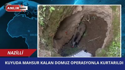 Nazilli’ye bağlı Kestel Mahallesi’nde kazılan derin bir kuyuya düşen yaban