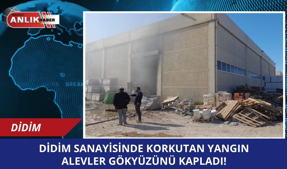 Aydın’ın Didim ilçesindeki Küçük Sanayi Sitesi’nde bir hırdavat dükkanında çıkan