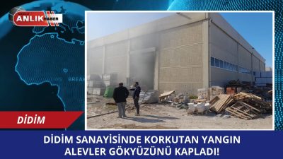 Aydın’ın Didim ilçesindeki Küçük Sanayi Sitesi’nde bir hırdavat dükkanında çıkan