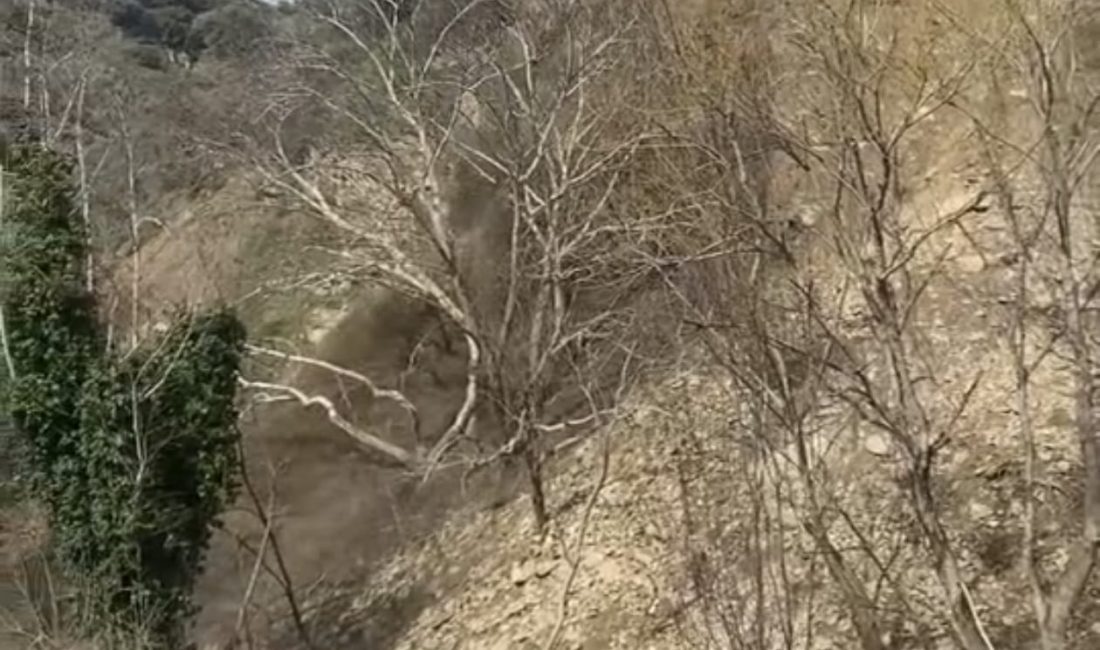 NAZİLLİ – Nazilli ilçesinde günlerdir