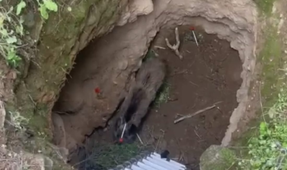 Nazilli’ye bağlı Kestel Mahallesi’nde kazılan