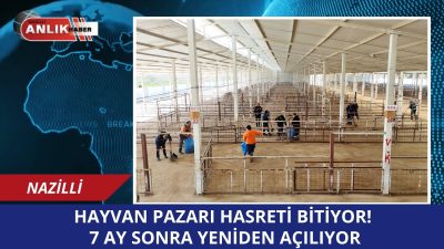 Nazilli’de şap hastalığı nedeniyle uzun süredir kapalı olan hayvan pazarı,