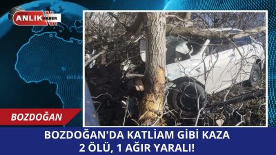 Bozdoğan’a bağlı Haydere Mahallesi yakınlarında kontrolden çıkan bir otomobilin ağaçlara