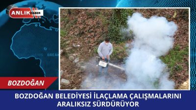 Bozdoğan Belediyesi Temizlik İşleri Müdürlüğü ekipleri, ilçe genelinde sivrisinek, karasinek